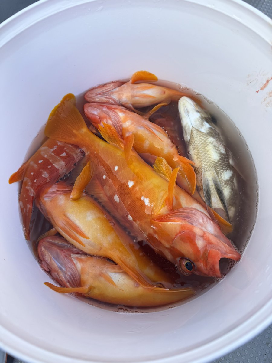 みつこ tweet media