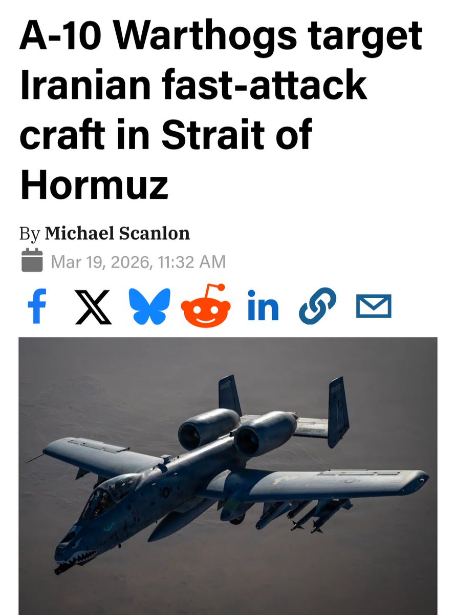 Following Trend tweet media