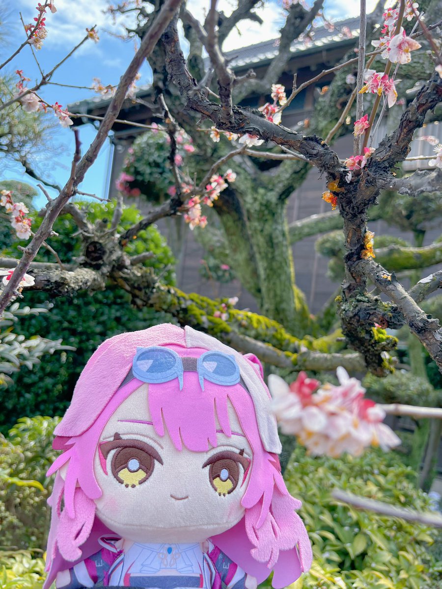 Raora Panthera🐱holoEN tweet media