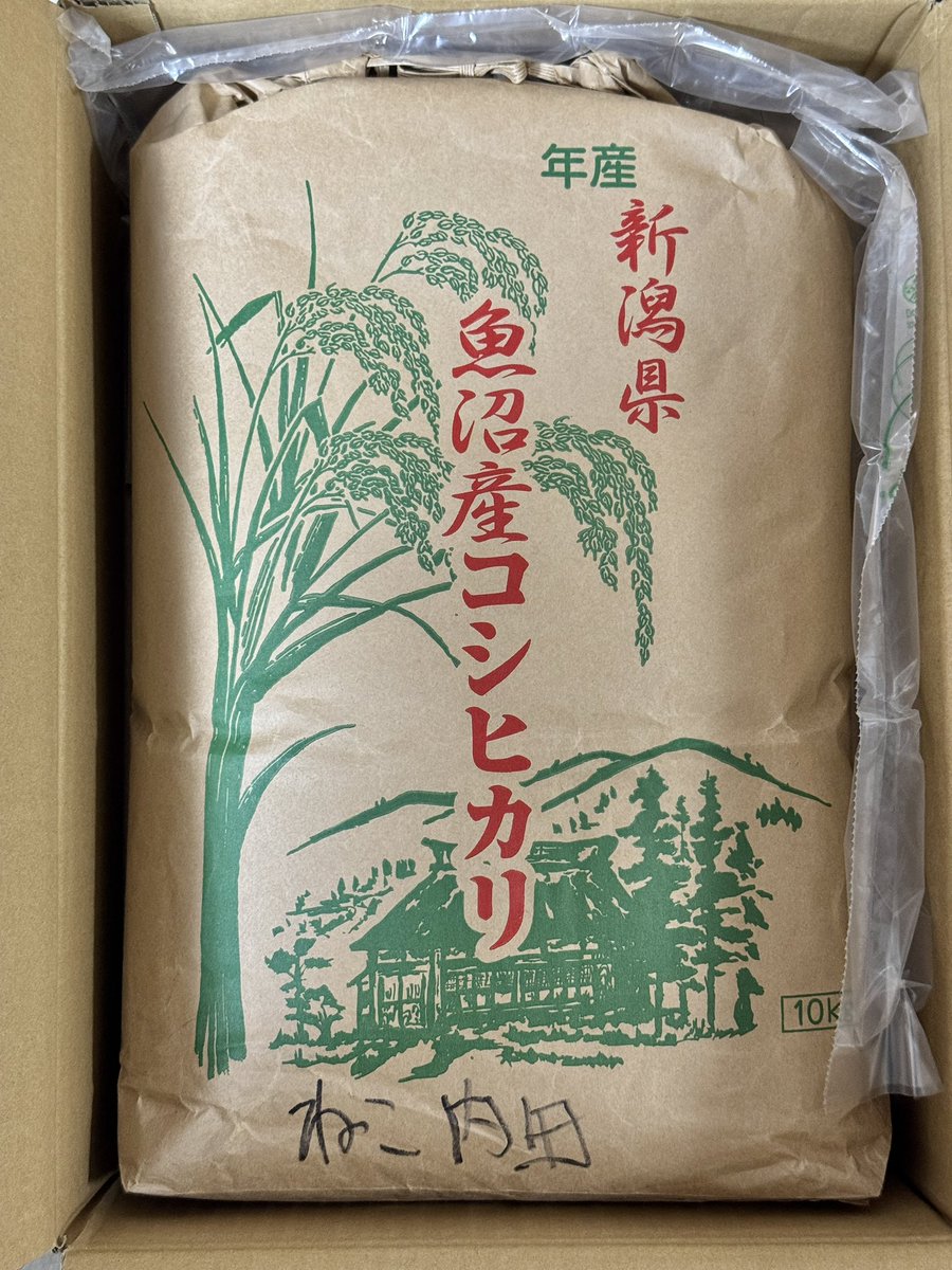 ねこ社長 @ねこのしっぽ tweet media