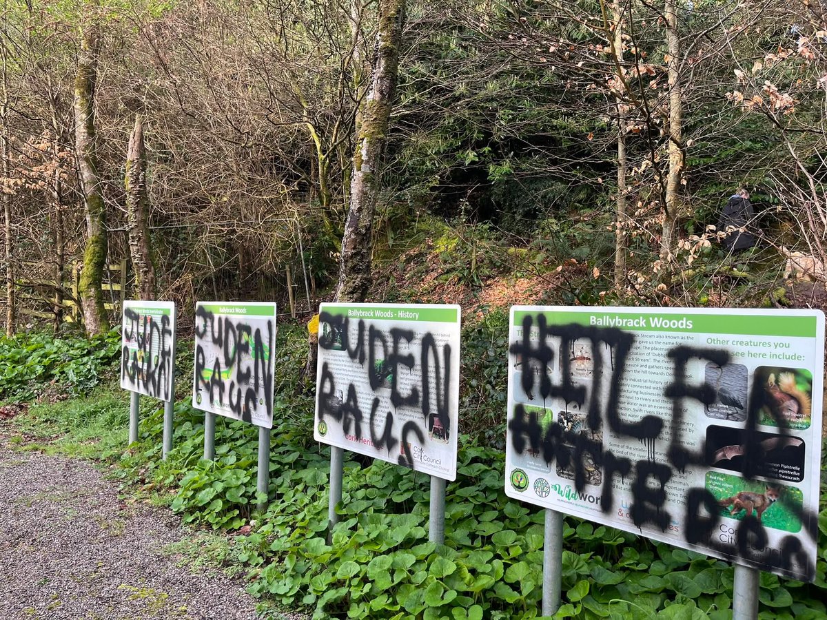 BarryOBrienCork's tweet photo. What a waste!
Shocking graffiti left in the Mangala overnight. What a disgrace and kick in the teeth for all the volunteers who keep our public areas in excellent condition for the enjoyment of all.
Hopefully the perpetrators will be caught and prosecuted. https://t.co/kLyzCbZCED