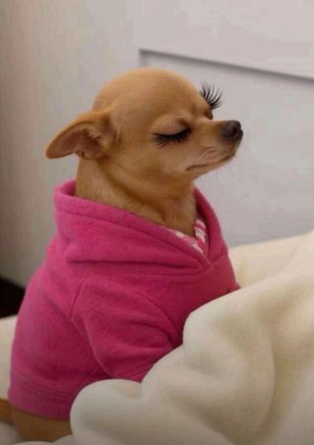 Moyosore tweet media