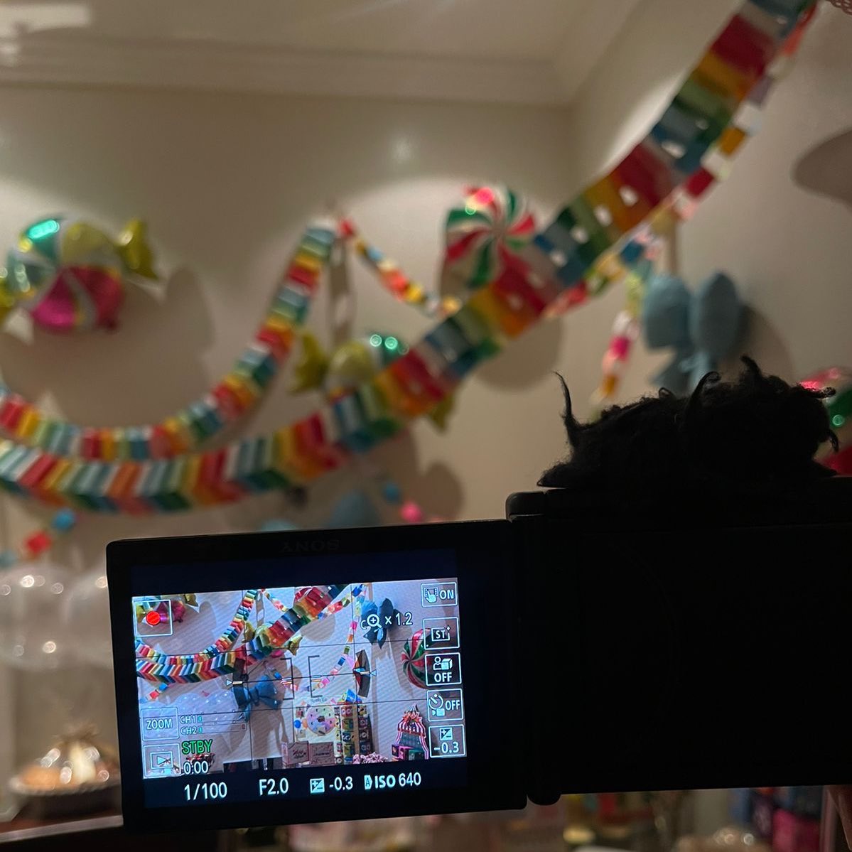 Shaimaa 🕊 tweet media