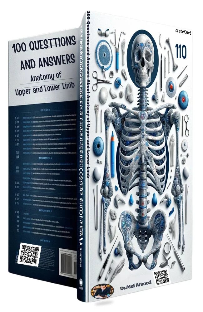no1_doctor's tweet photo. Limb Anatomy Q&A. Master upper and lower limb essentials with quick focused review. Link in the replies 👇 #Anatomy #UpperLimb #LowerLimb #Iran https://t.co/zQH7ZqAczd