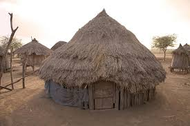 🇫🇷 REMIGRATION IMMEDIATE ! 💸✈️🌿 tweet media