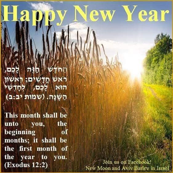 Rebecca Ann Dowty tweet media