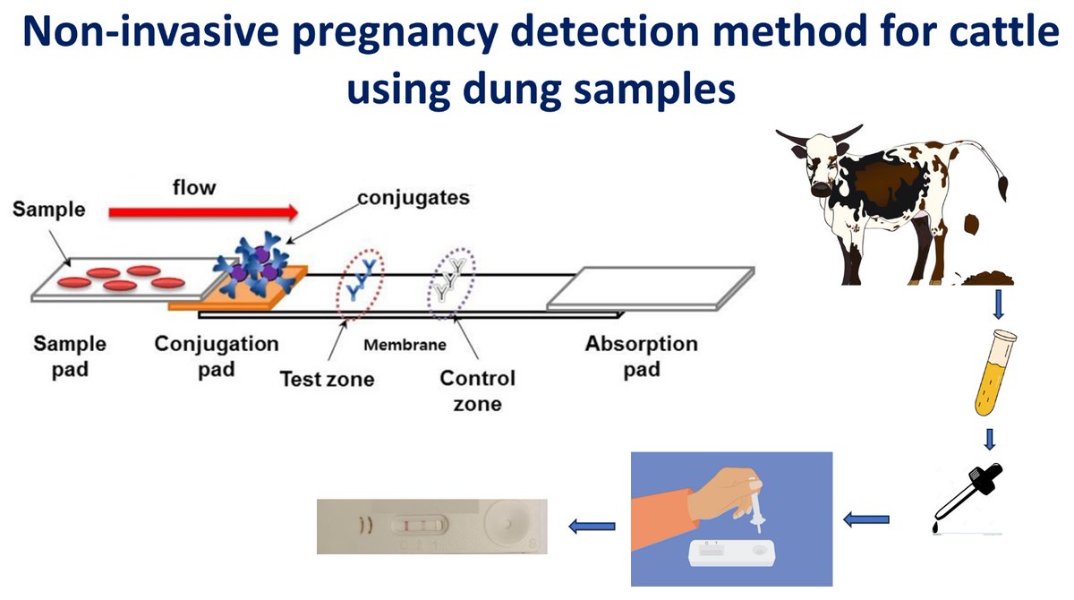 CSIR-CCMB tweet media