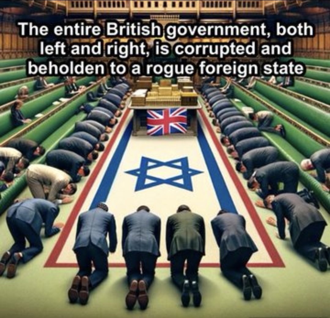 Maura G Moynihan tweet media