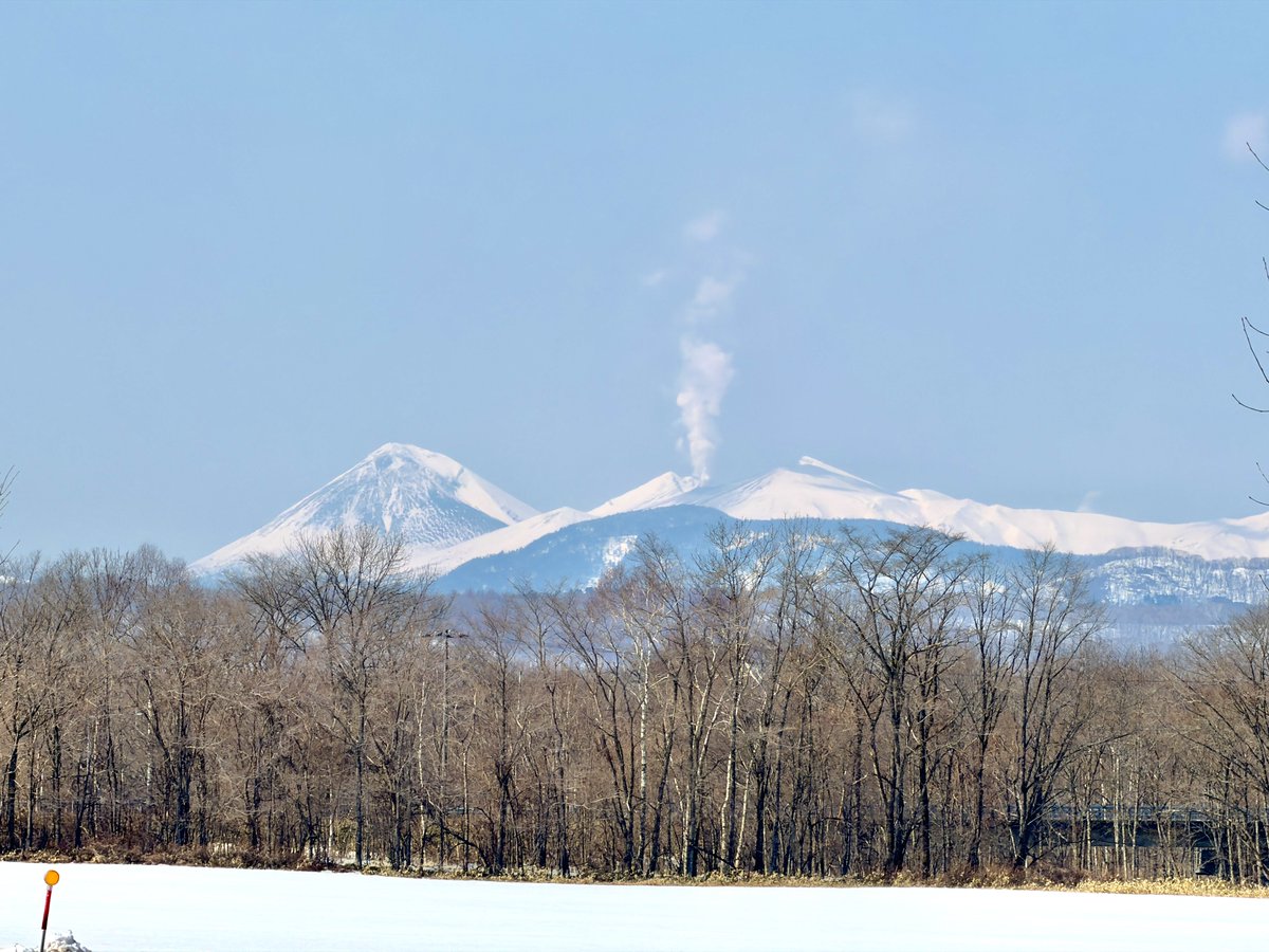 herokey turkay tweet media