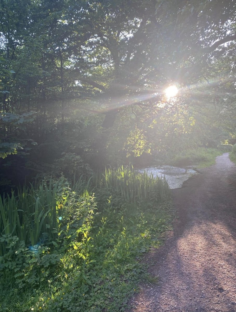 Safe Soil UK tweet media