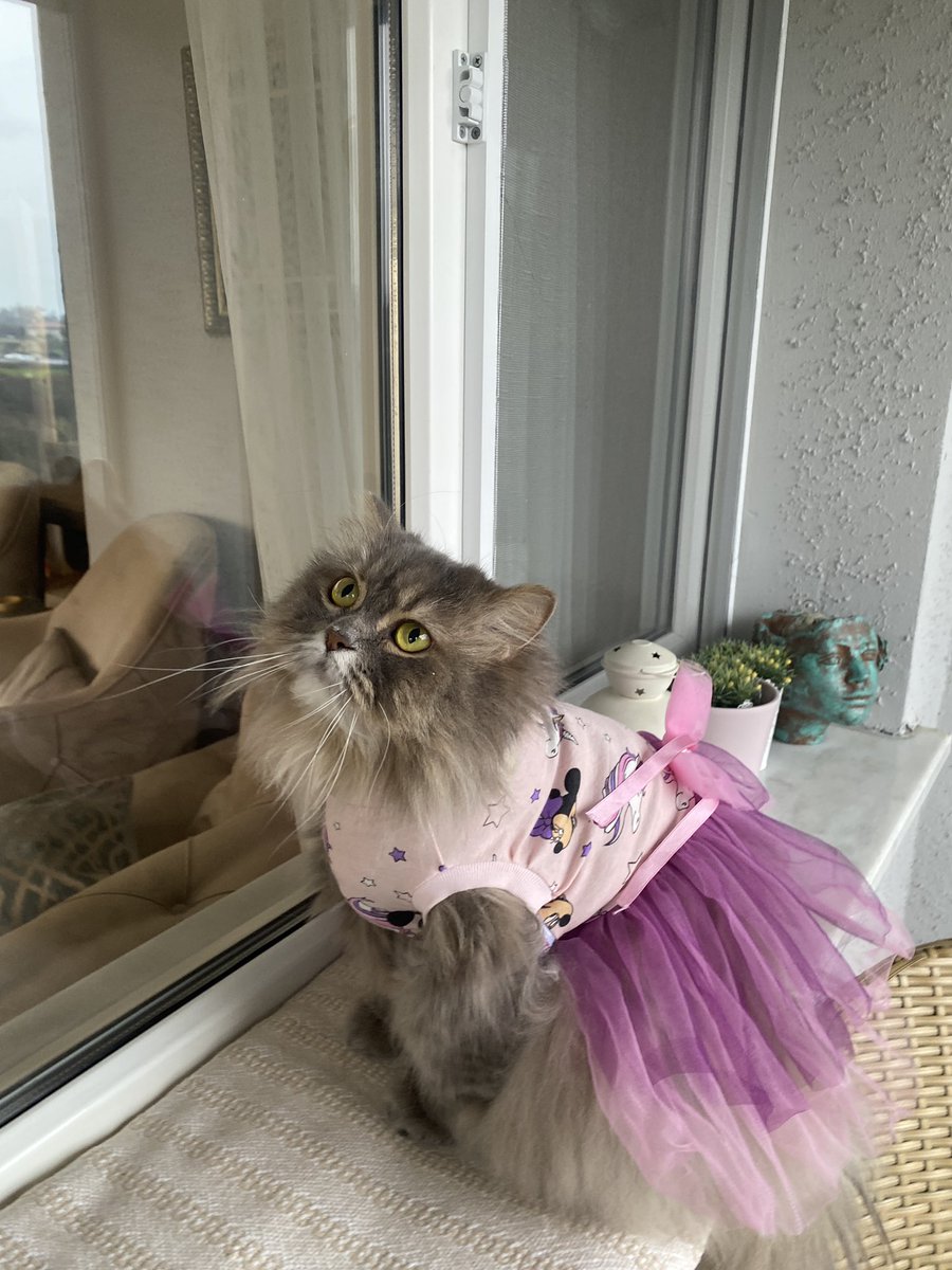 Buse Doğa Ateş tweet media