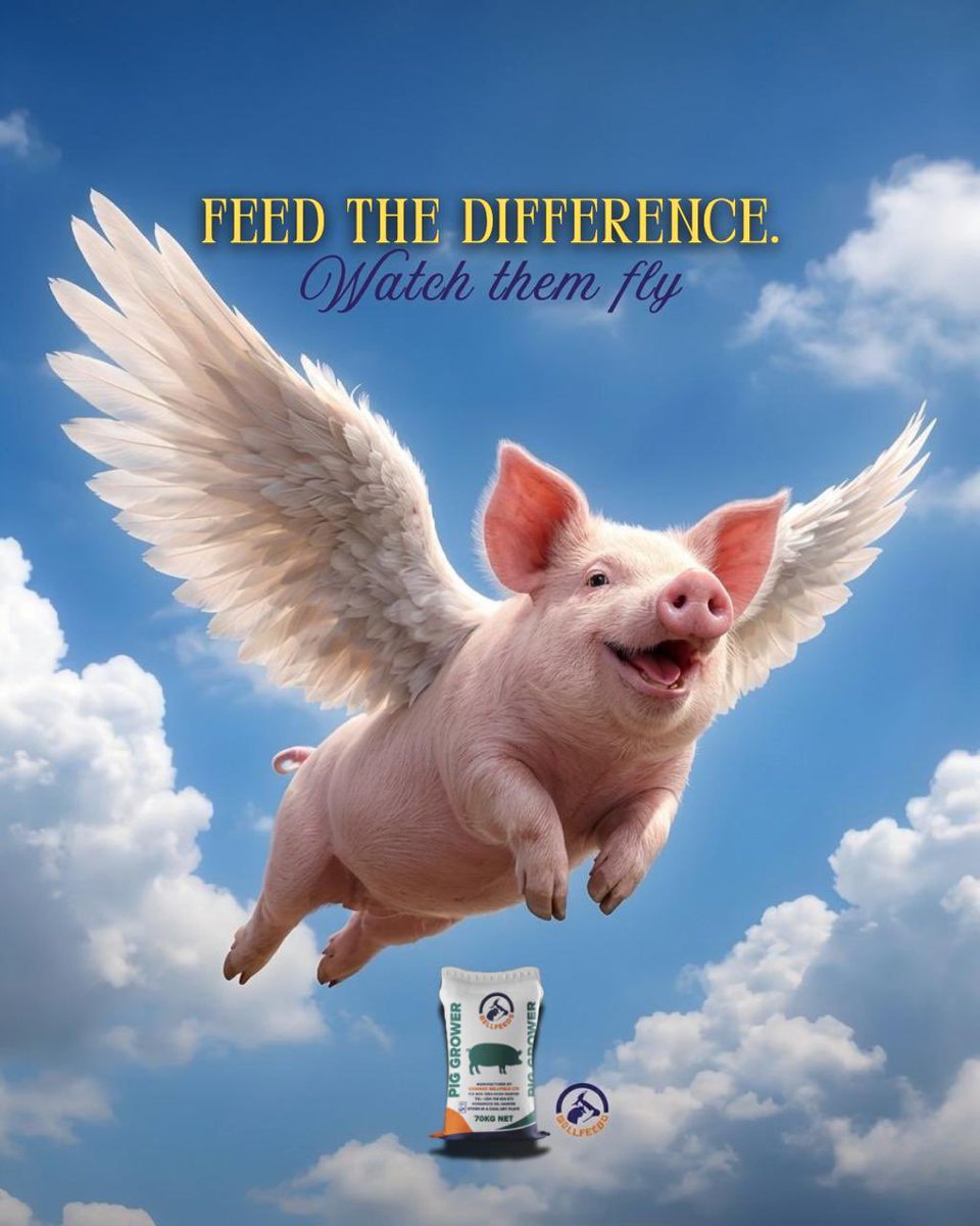 Pigs don’t just grow … they soar🐷🪽.