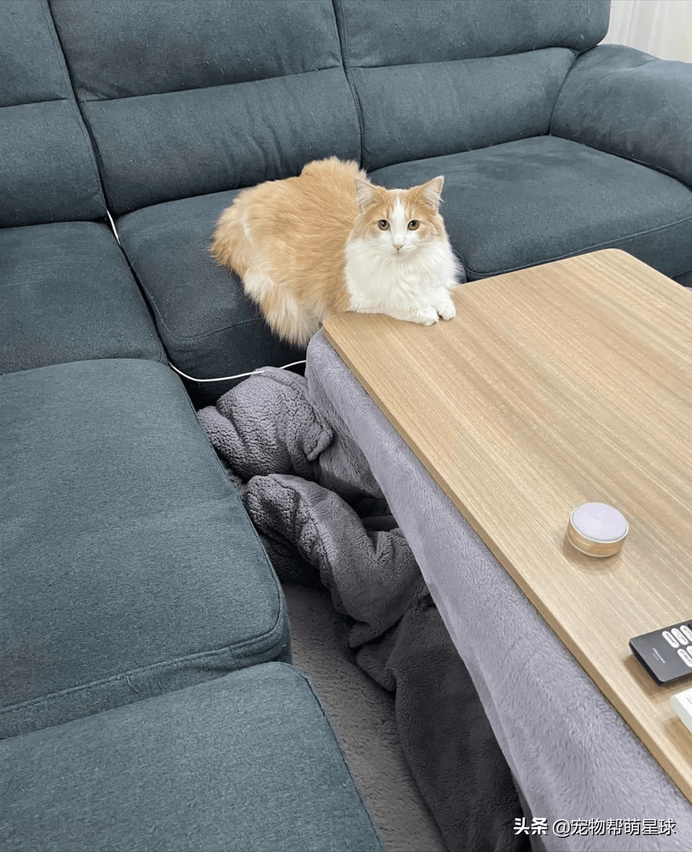 Bea Mealing tweet media