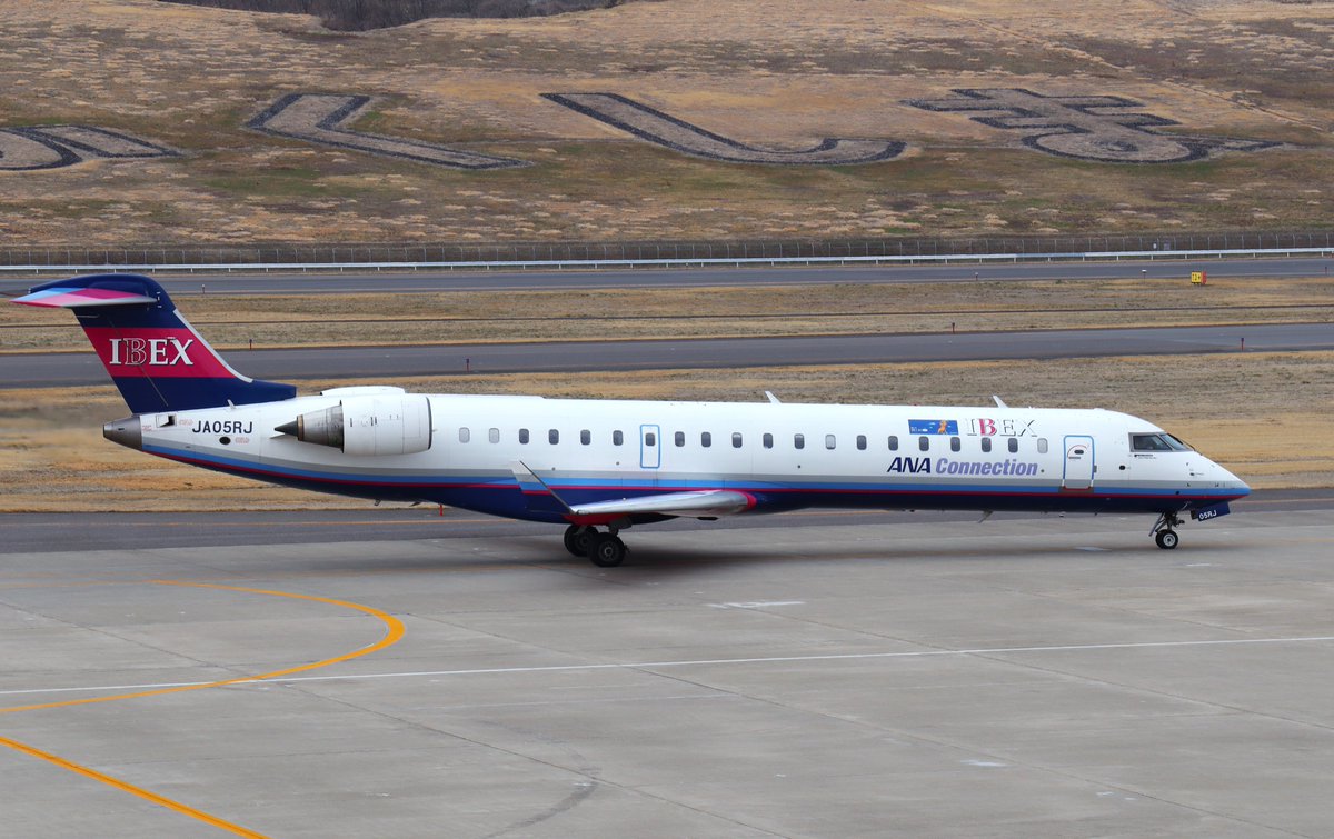 ハム太郎。 tweet media