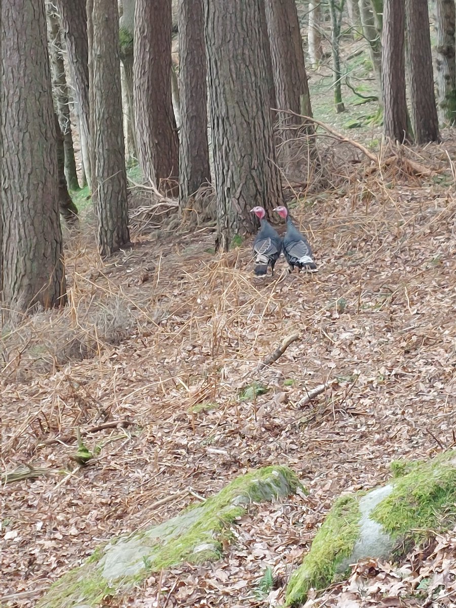 Nicola Villars tweet media