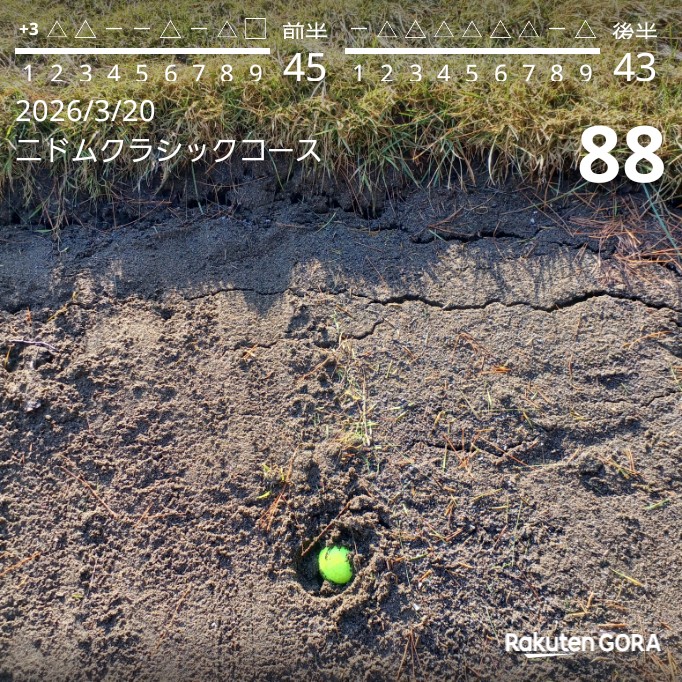 ピカさん⛳ tweet media