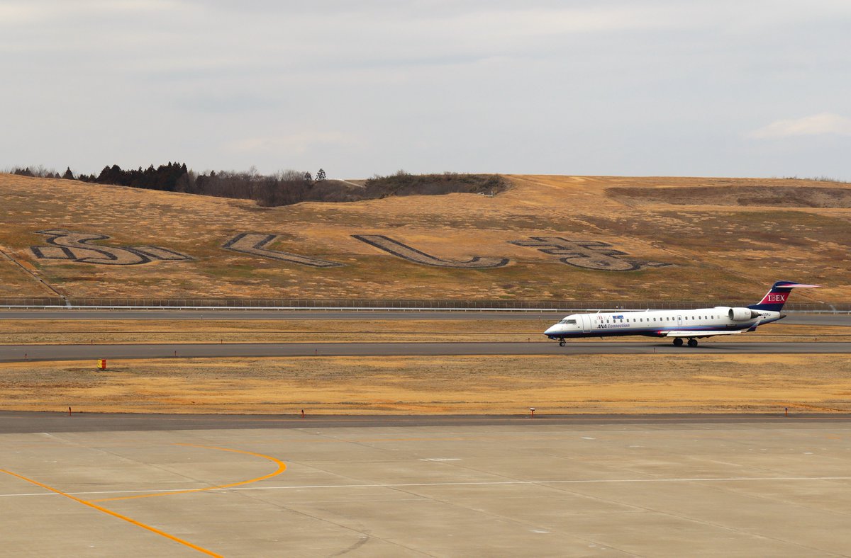 ハム太郎。 tweet media