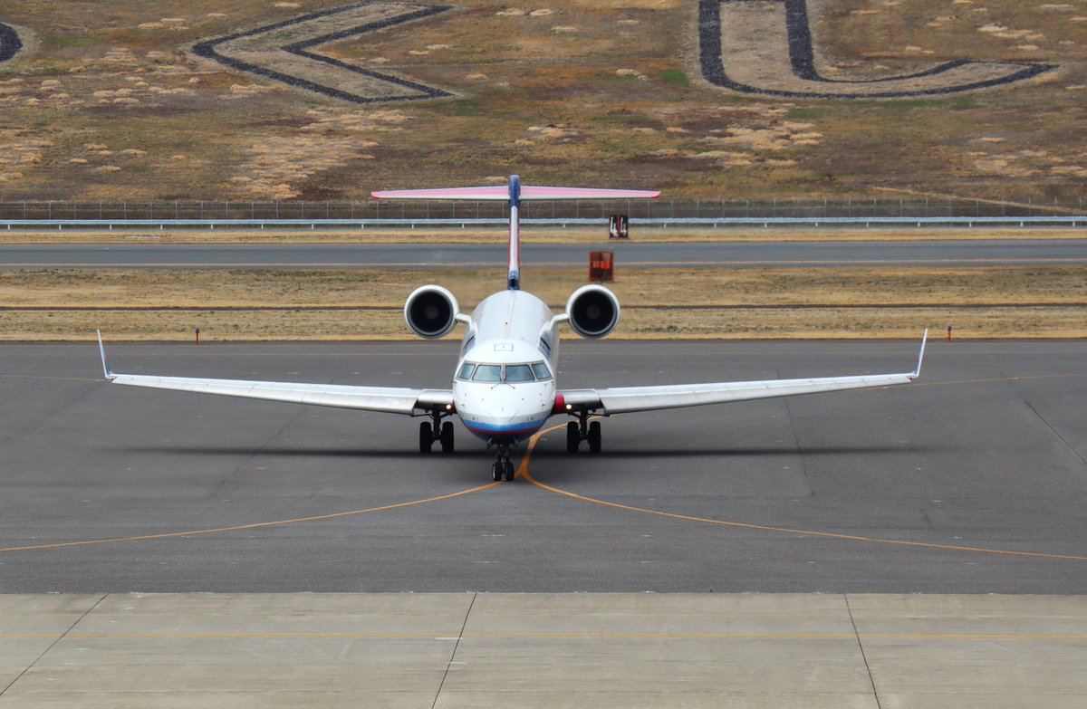 ハム太郎。 tweet media