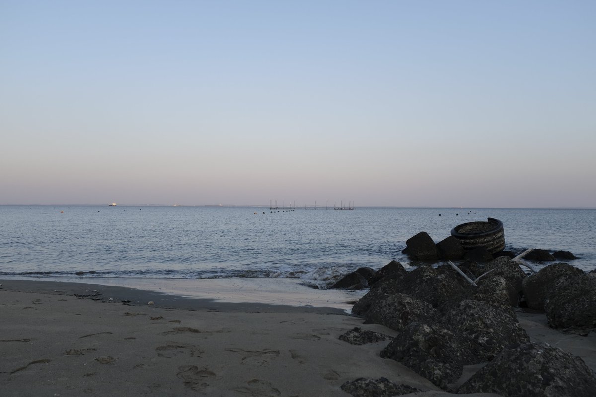 Harrison ‘Hariboe’ tweet media