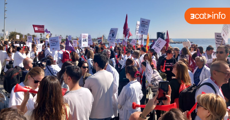 3CatInfo tweet media