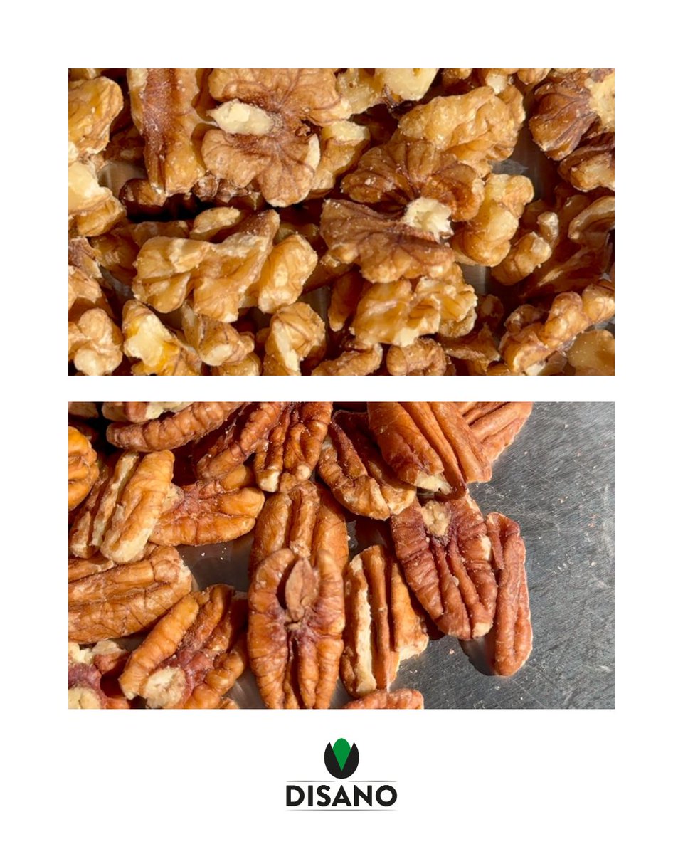prodottidisano's tweet photo. Scopri le Noci Disano, una selezione accurata di frutta secca di alta qualità.
#NociDisano #FruttaSecca #QualitàPremium https://t.co/uxDhIxd4ta
