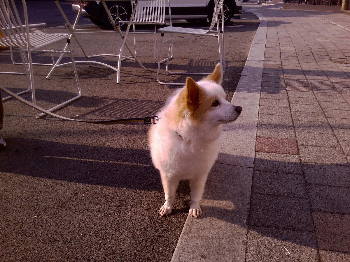 CRAVITY OFFICIAL tweet media