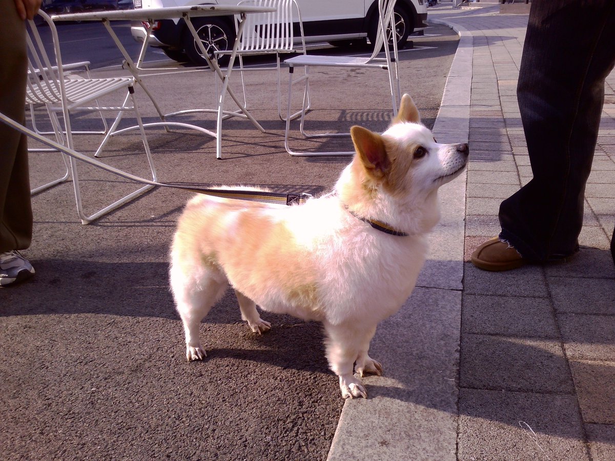 CRAVITY OFFICIAL tweet media