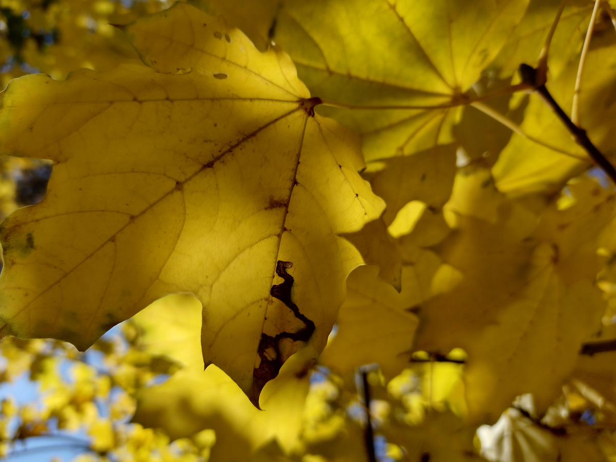 Giacinto Russo tweet media