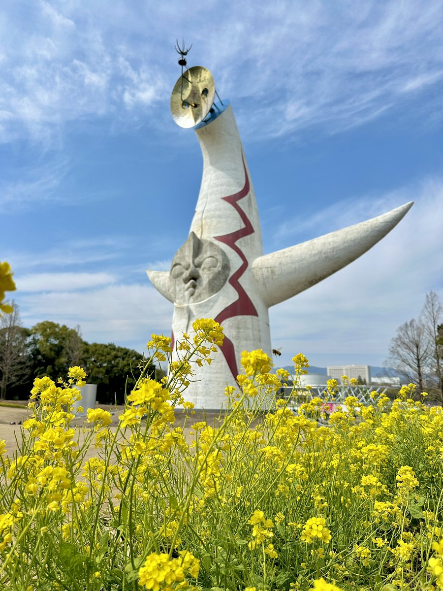 🐼🎈ぱんだ隊長🍭(Q) tweet media