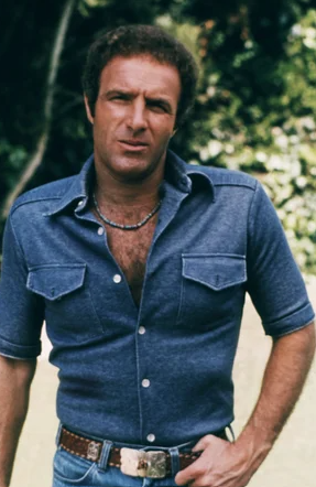 All The Right Movies tweet media