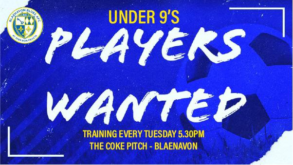 Blaenavon Blues AFC tweet media