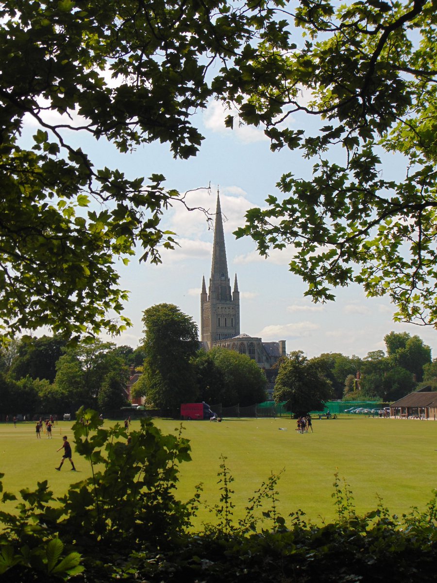 Annie Whitehead Author FRHistS tweet media