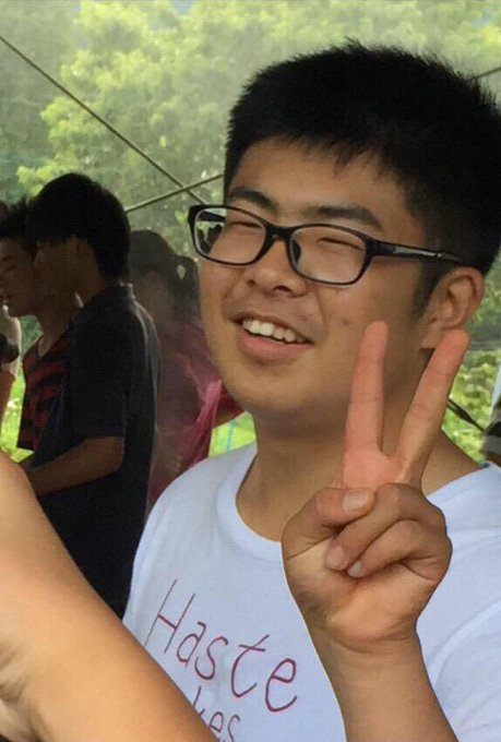 ネットのホンモノ図鑑 tweet media