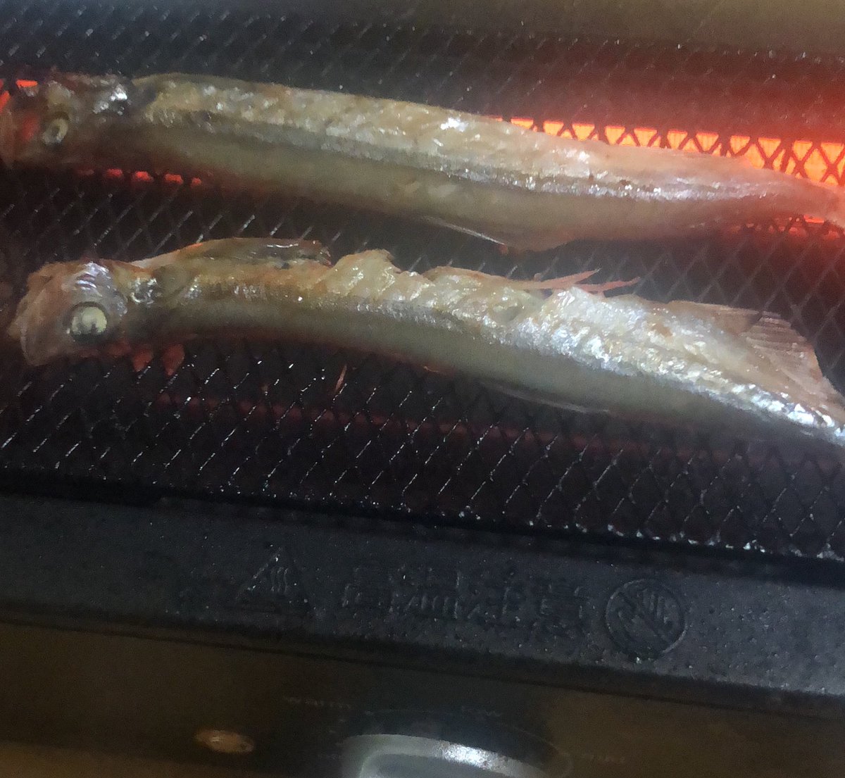 maical22's tweet photo. ししゃも https://t.co/FHAOoqSbJZ