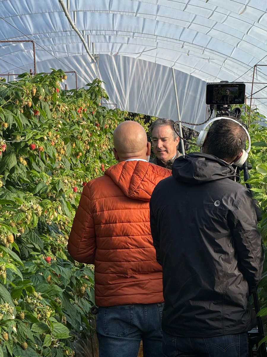 Cooperativas Agro-alimentarias de Andalucía tweet media