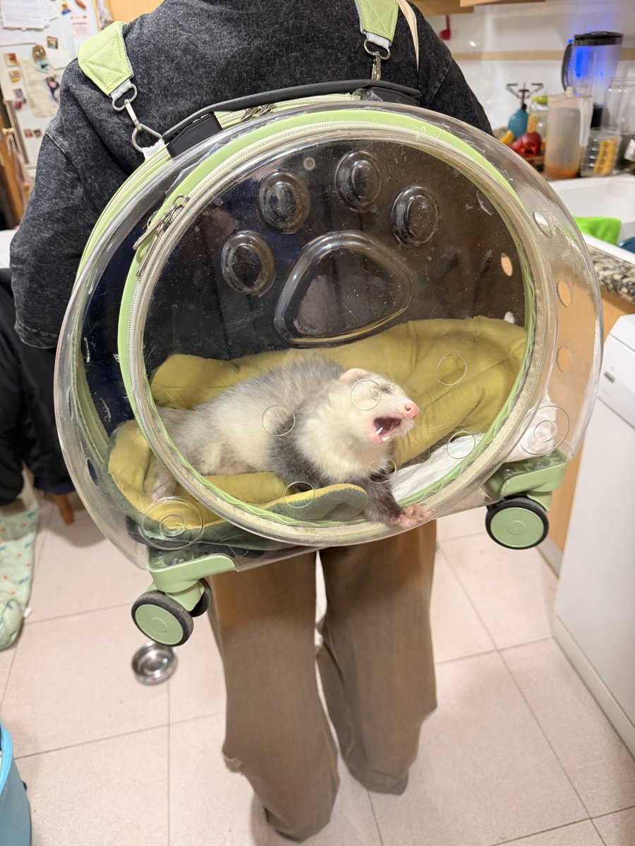 Hurona Rolera🌻• tweet media