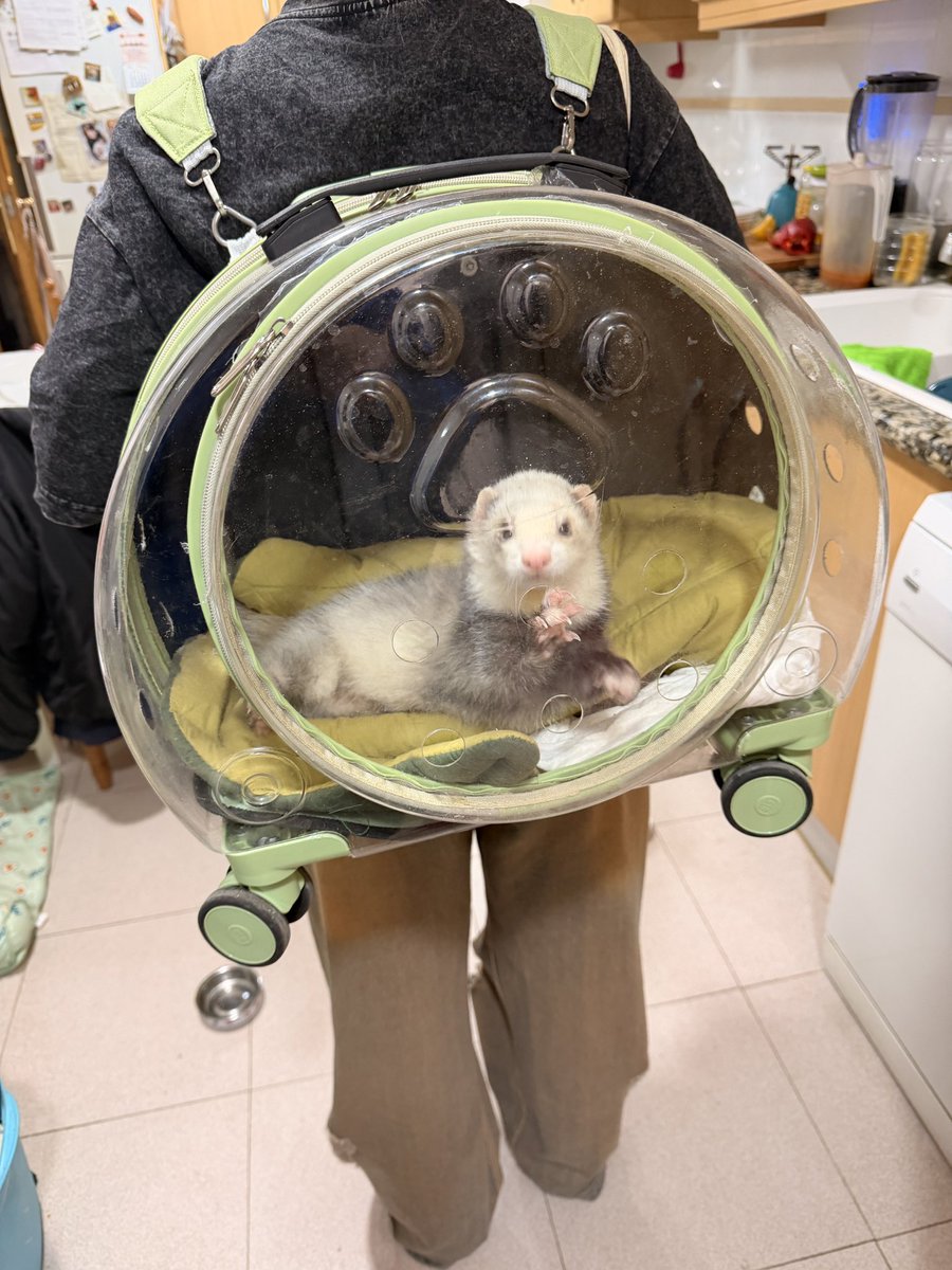 Hurona Rolera🌻• tweet media