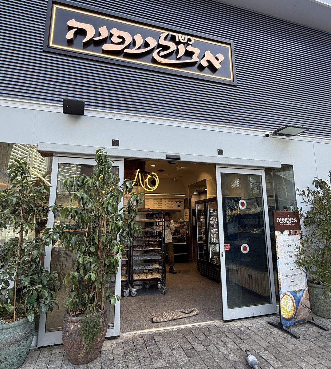 Daniro 🇮🇱 tweet media