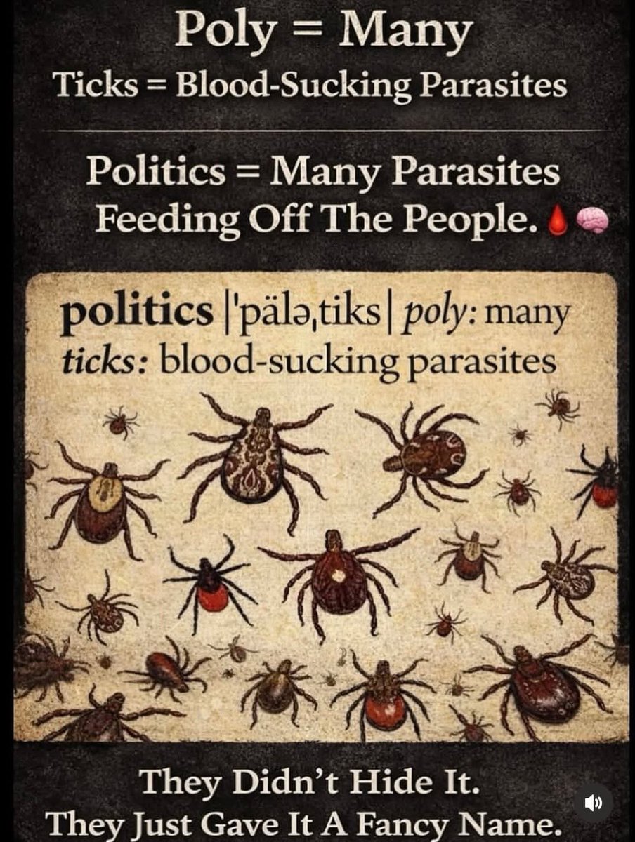 🧬Maxpein🧬 tweet media