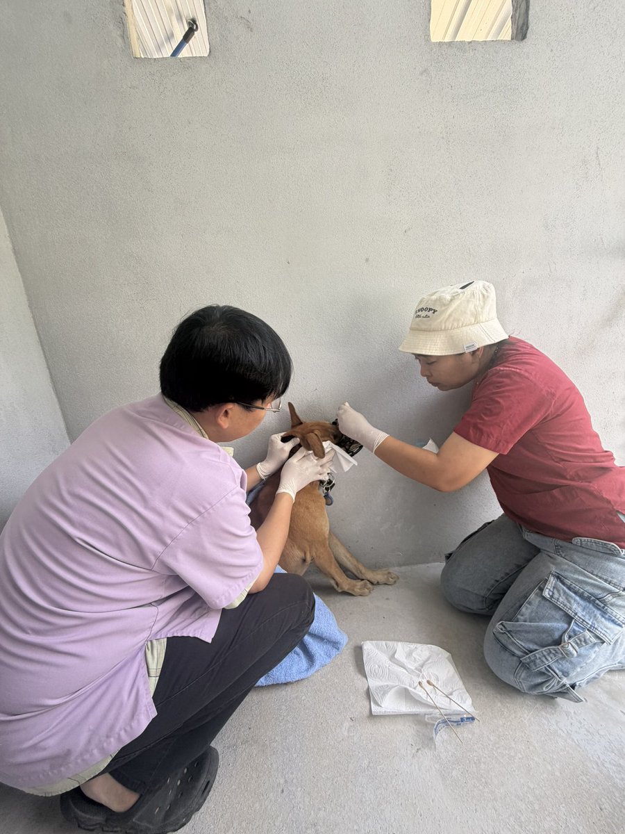 Niall Harbison tweet media