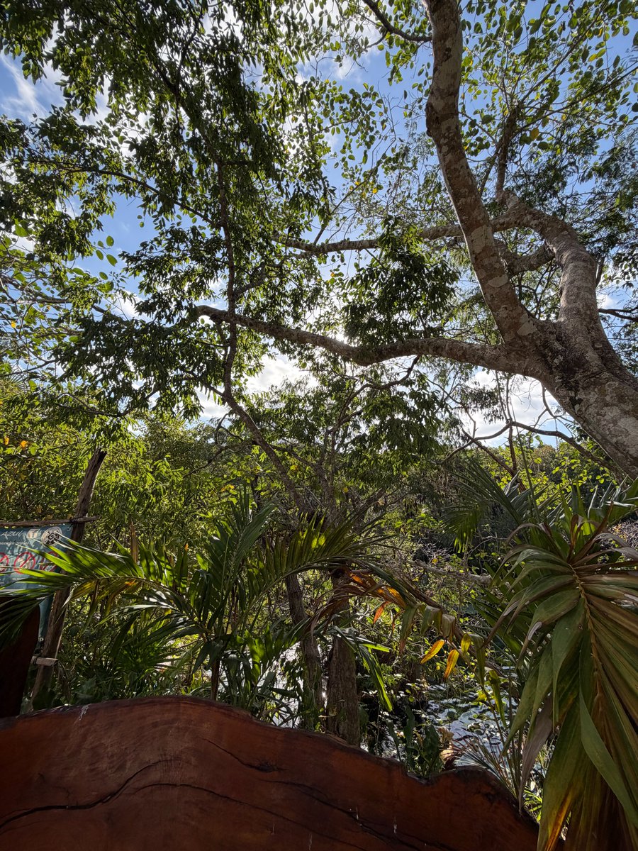 Mel Knox tweet media