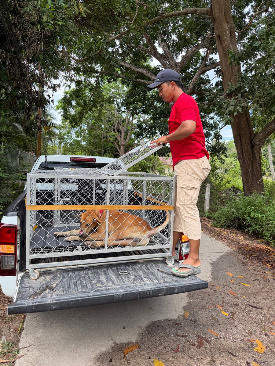 Niall Harbison tweet media