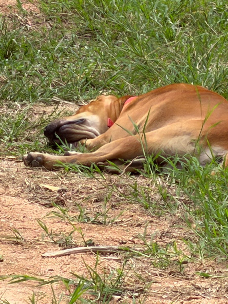 Niall Harbison tweet media