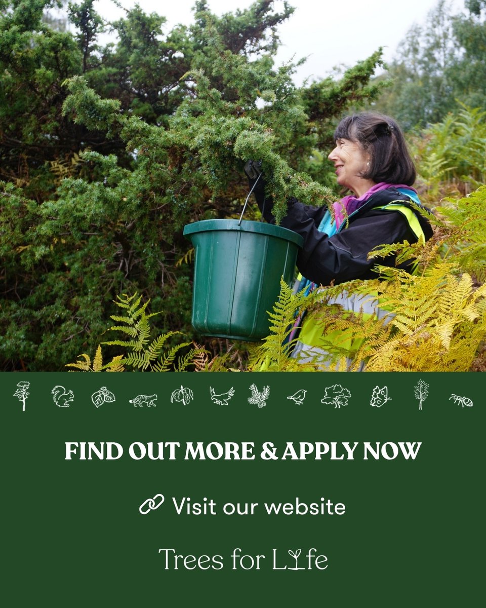 Trees for Life tweet media