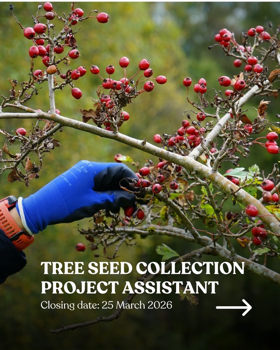 Trees for Life tweet media