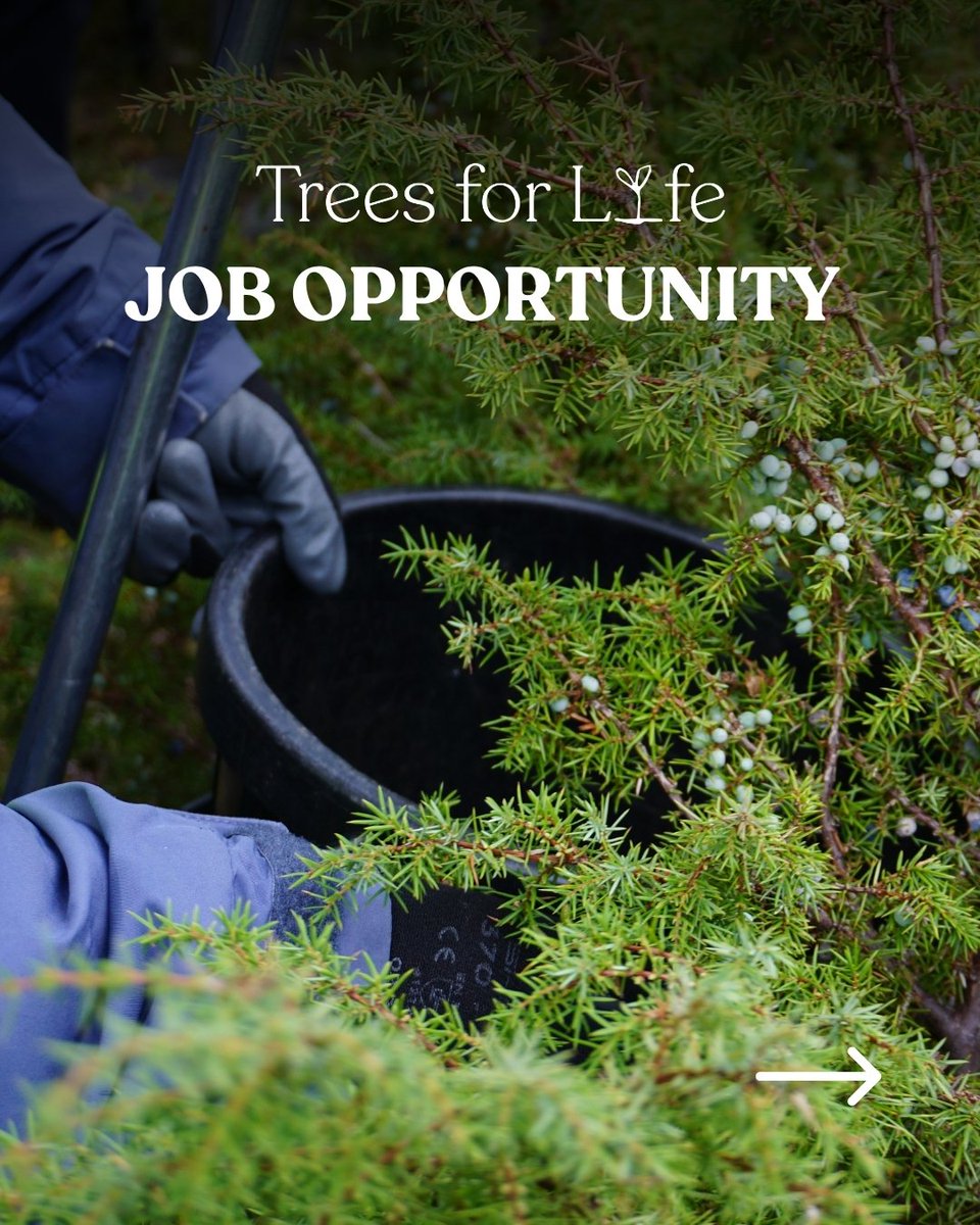 Trees for Life tweet media