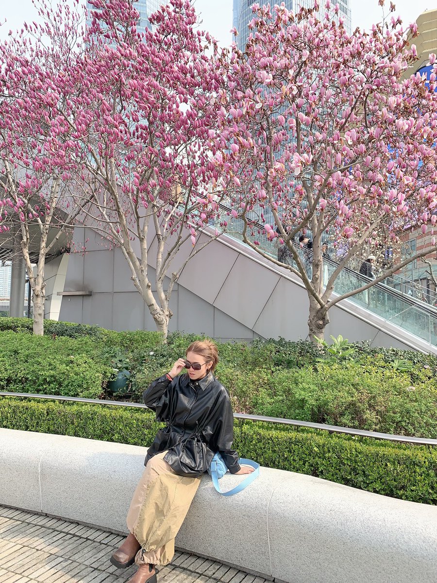 陈珍 tweet media