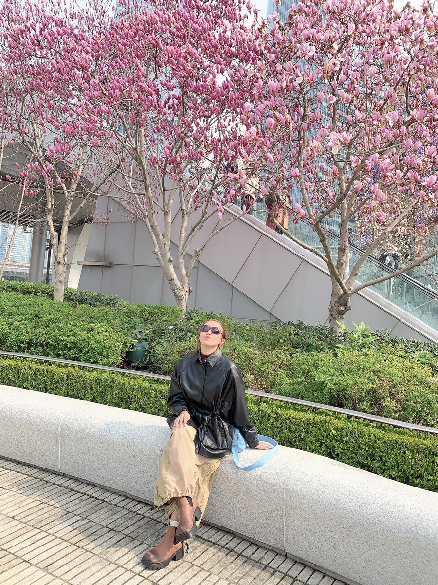 陈珍 tweet media