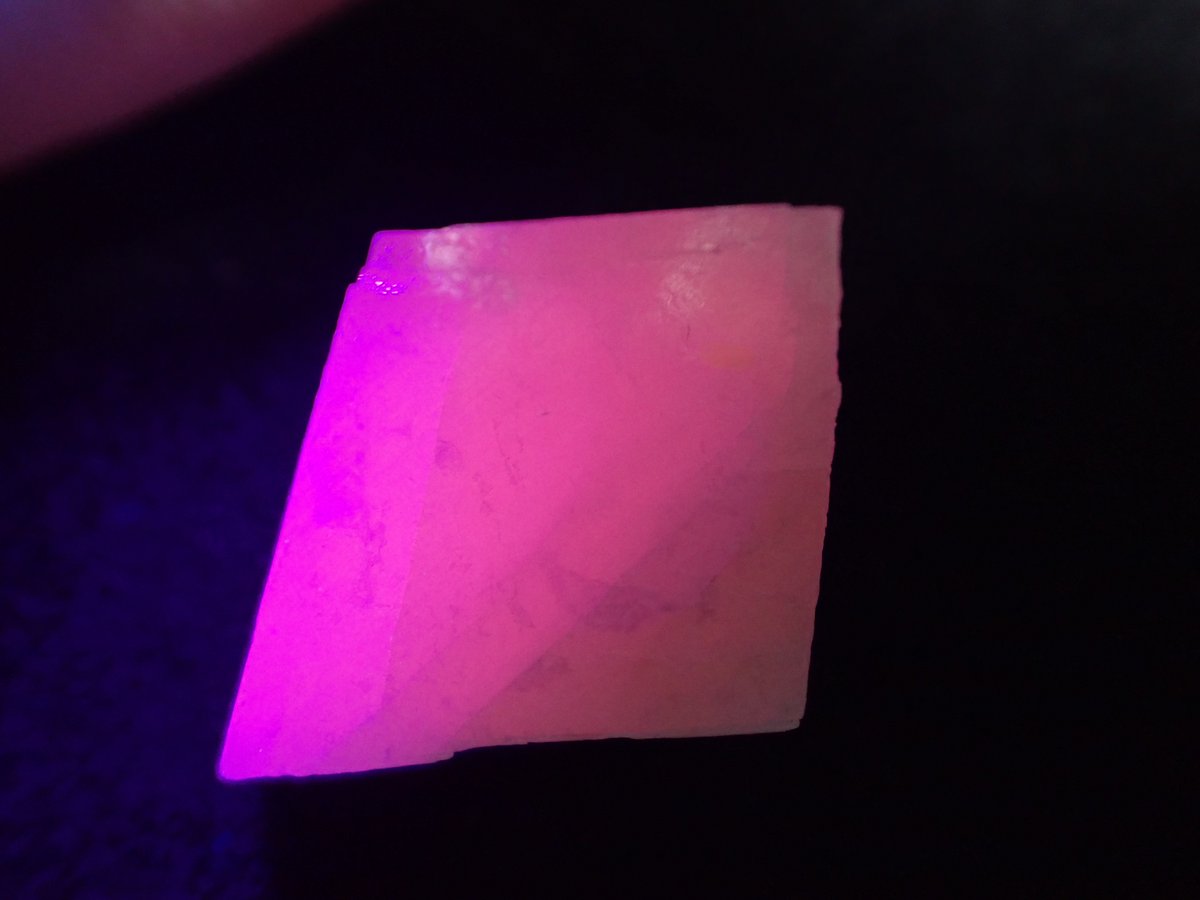 りかたん tweet media