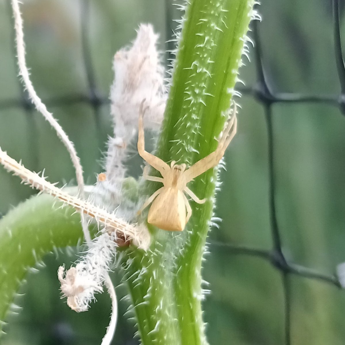 Seeds of hope 💖 tweet media